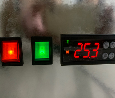 Temperature display